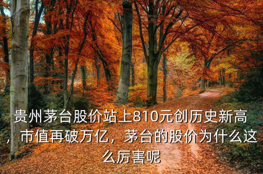 貴州茅臺股價站上810元創(chuàng)歷史新高，市值再破萬億，茅臺的股價為什么這么厲害呢