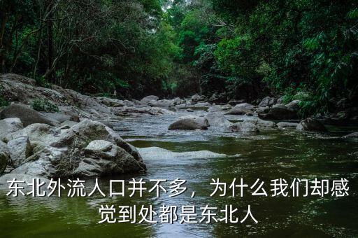 東北外流人口并不多，為什么我們卻感覺到處都是東北人