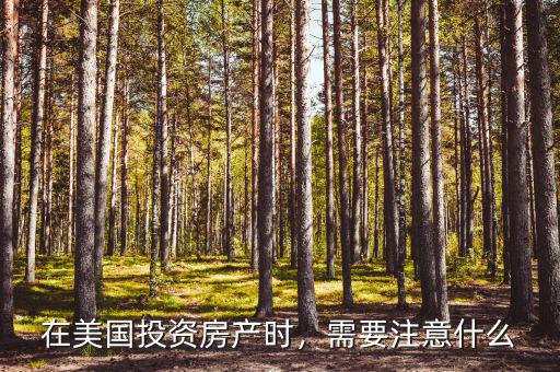 在美國投資房產時，需要注意什么