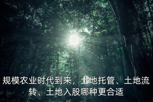 規(guī)模農(nóng)業(yè)時(shí)代到來(lái)，土地托管、土地流轉(zhuǎn)、土地入股哪種更合適