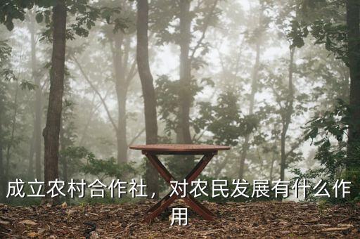 成立農(nóng)村合作社，對農(nóng)民發(fā)展有什么作用