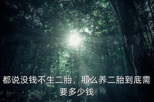 都說沒錢不生二胎，那么養(yǎng)二胎到底需要多少錢