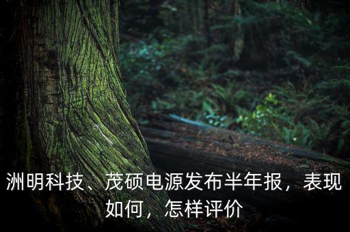 洲明科技、茂碩電源發(fā)布半年報，表現(xiàn)如何，怎樣評價