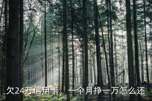 欠24萬信用卡，一個月掙一萬怎么還