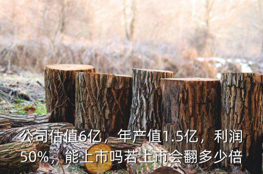 公司估值6億，年產(chǎn)值1.5億，利潤50%，能上市嗎若上市會翻多少倍
