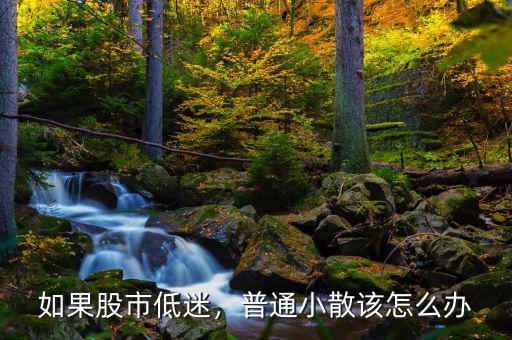 如果股市低迷，普通小散該怎么辦