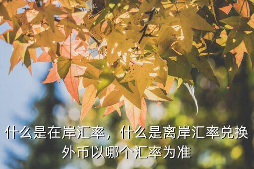 什么是在岸匯率，什么是離岸匯率兌換外幣以哪個匯率為準