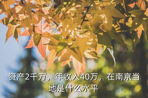 資產(chǎn)2千萬，年收入40萬，在南京當?shù)厥鞘裁此? class=