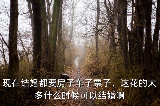 現(xiàn)在結(jié)婚都要房子車子票子，這花的太多什么時(shí)候可以結(jié)婚啊