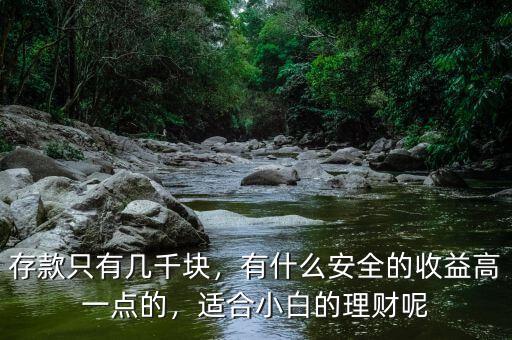存款只有幾千塊，有什么安全的收益高一點(diǎn)的，適合小白的理財(cái)呢