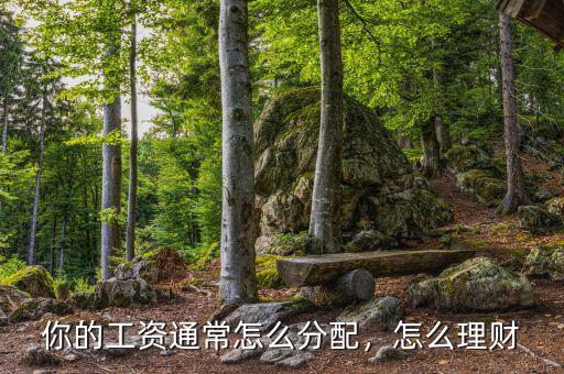 你的工資通常怎么分配，怎么理財