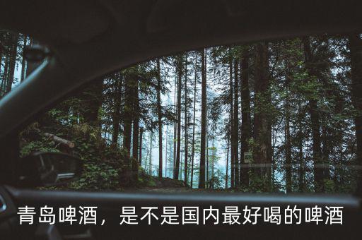 青島啤酒，是不是國(guó)內(nèi)最好喝的啤酒
