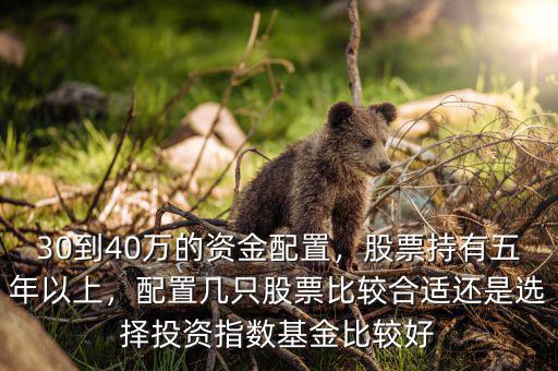 30到40萬的資金配置，股票持有五年以上，配置幾只股票比較合適還是選擇投資指數(shù)基金比較好
