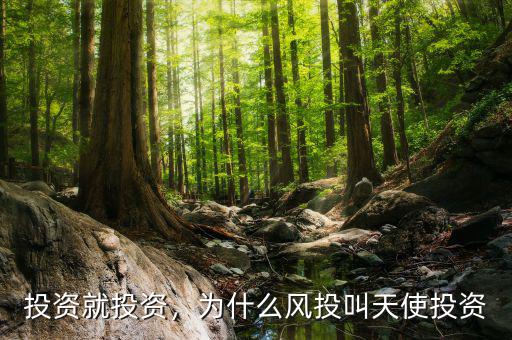 投資就投資，為什么風(fēng)投叫天使投資