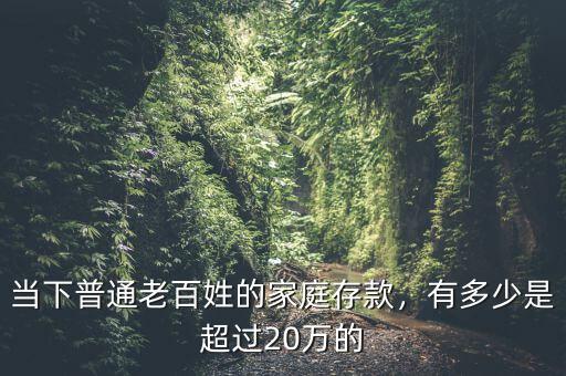 當(dāng)下普通老百姓的家庭存款，有多少是超過(guò)20萬(wàn)的