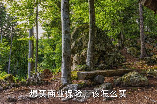 想買商業(yè)保險，該怎么買