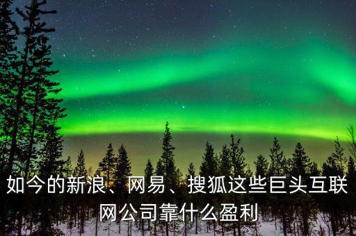 如今的新浪、網(wǎng)易、搜狐這些巨頭互聯(lián)網(wǎng)公司靠什么盈利