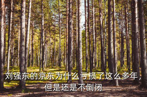 劉強(qiáng)東的京東為什么虧損了這么多年，但是還是不倒閉