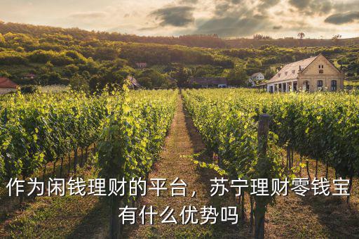 作為閑錢(qián)理財(cái)?shù)钠脚_(tái)，蘇寧理財(cái)零錢(qián)寶有什么優(yōu)勢(shì)嗎