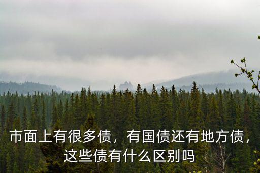 市面上有很多債，有國債還有地方債，這些債有什么區(qū)別嗎