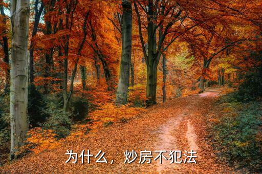 為什么，炒房不犯法