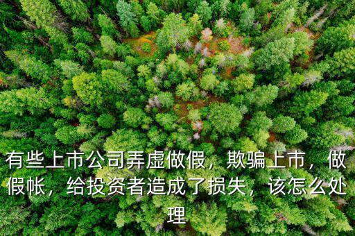 有些上市公司弄虛做假，欺騙上市，做假帳，給投資者造成了損失，該怎么處理