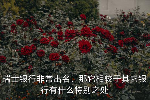 瑞士銀行非常出名，那它相較于其它銀行有什么特別之處