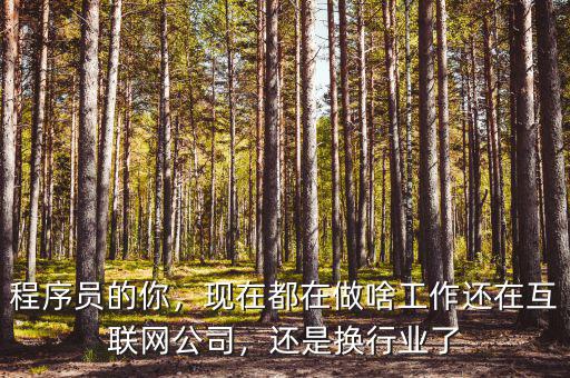 程序員的你，現(xiàn)在都在做啥工作還在互聯(lián)網(wǎng)公司，還是換行業(yè)了