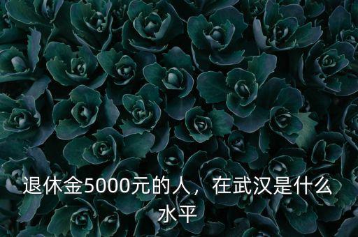 退休金5000元的人，在武漢是什么水平