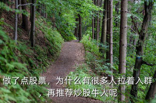 做了點(diǎn)股票，為什么有很多人拉著入群，再推薦炒股牛人呢