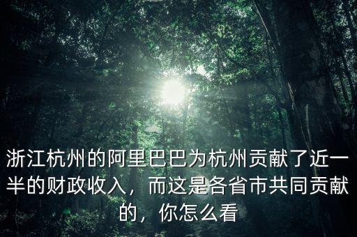 浙江杭州的阿里巴巴為杭州貢獻(xiàn)了近一半的財政收入，而這是各省市共同貢獻(xiàn)的，你怎么看