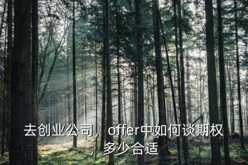 去創(chuàng)業(yè)公司，offer中如何談期權(quán)，多少合適