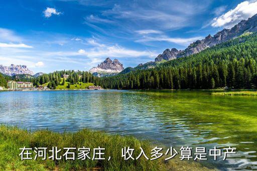 在河北石家莊，收入多少算是中產