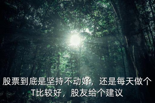 股票到底是堅持不動好，還是每天做個T比較好，股友給個建議