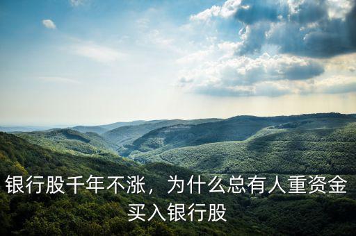 銀行股千年不漲，為什么總有人重資金買入銀行股