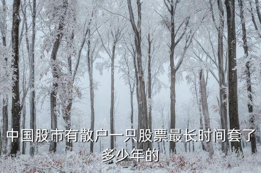中國(guó)股市有散戶(hù)一只股票最長(zhǎng)時(shí)間套了多少年的