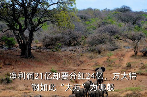 凈利潤21億卻要分紅24億，方大特鋼如此“大方”為哪般