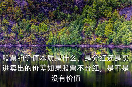 股票的價值本質(zhì)是什么，是分紅還是買進(jìn)賣出的價差如果股票不分紅，是不是沒有價值