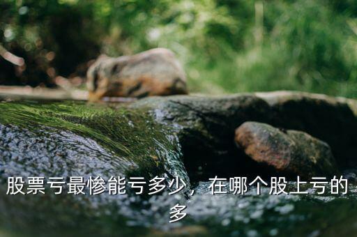 股票虧最慘能虧多少，在哪個(gè)股上虧的多