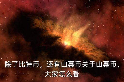 除了比特幣，還有山寨幣關(guān)于山寨幣，大家怎么看