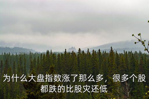為什么大盤指數(shù)漲了那么多，很多個股都跌的比股災(zāi)還低