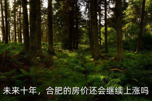 未來十年，合肥的房價還會繼續(xù)上漲嗎