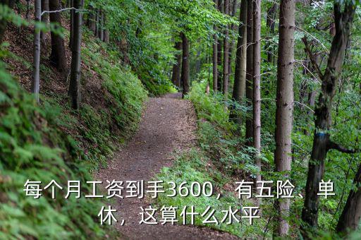 每個月工資到手3600，有五險、單休，這算什么水平