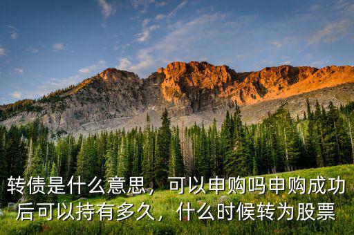 轉(zhuǎn)債是什么意思，可以申購嗎申購成功后可以持有多久，什么時(shí)候轉(zhuǎn)為股票