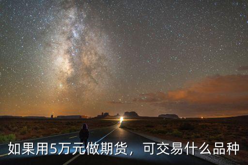 如果用5萬元做期貨，可交易什么品種