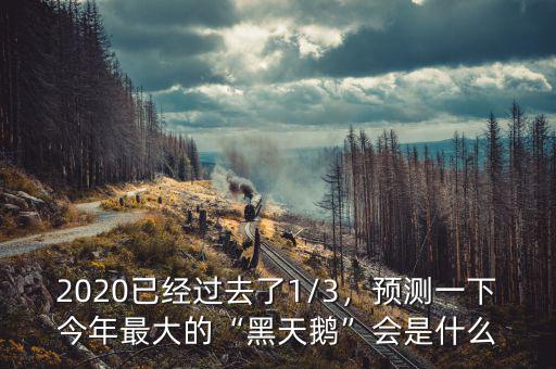 2020已經(jīng)過去了1/3，預(yù)測(cè)一下今年最大的“黑天鵝”會(huì)是什么