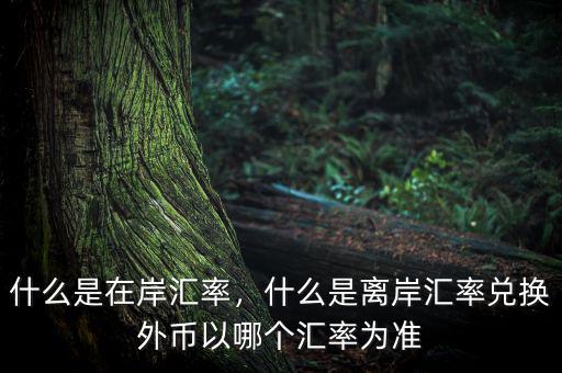 什么是在岸匯率，什么是離岸匯率兌換外幣以哪個(gè)匯率為準(zhǔn)