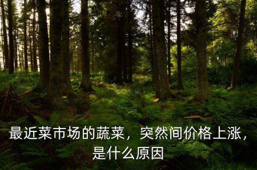 最近菜市場(chǎng)的蔬菜，突然間價(jià)格上漲，是什么原因