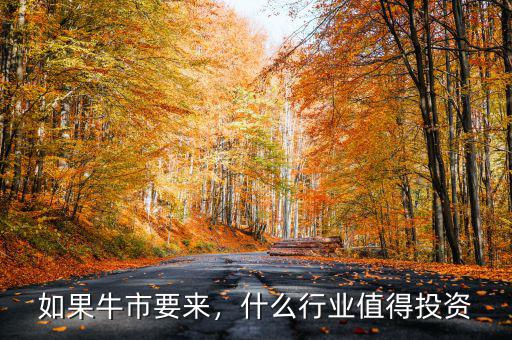 如果牛市要來，什么行業(yè)值得投資