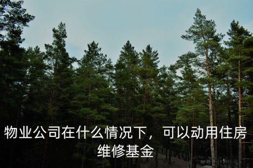 物業(yè)公司在什么情況下，可以動用住房維修基金